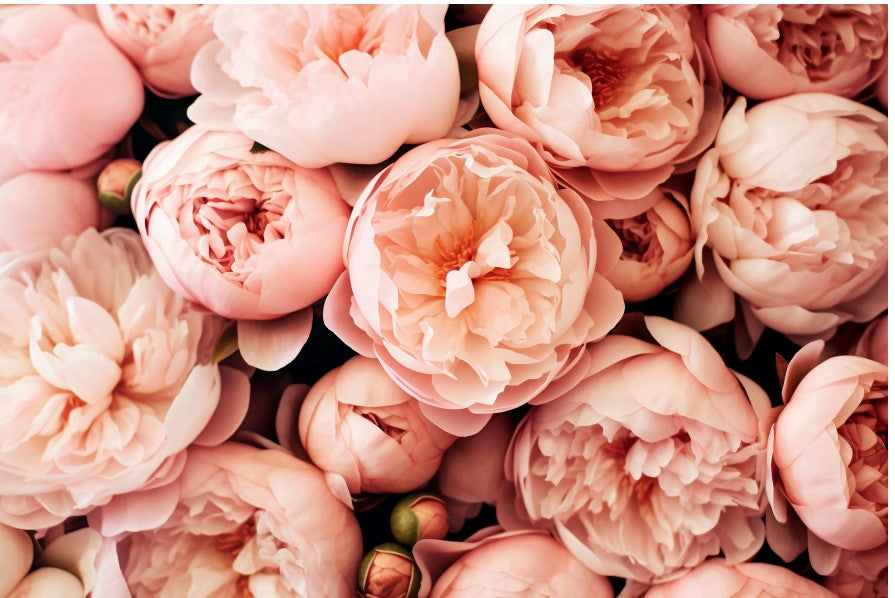 Blommiga dofter